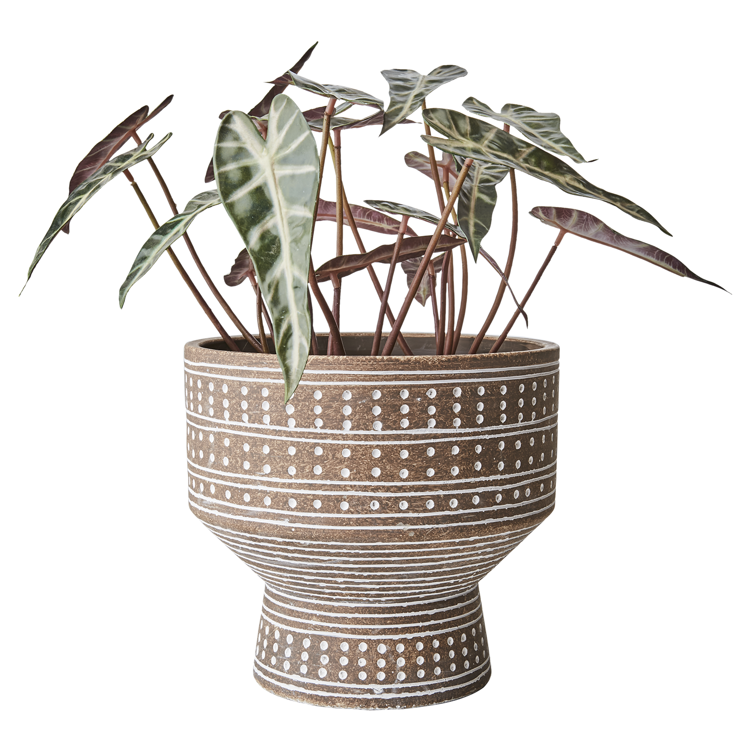Affari of Sweden CAMILLE Kruka M, Beige