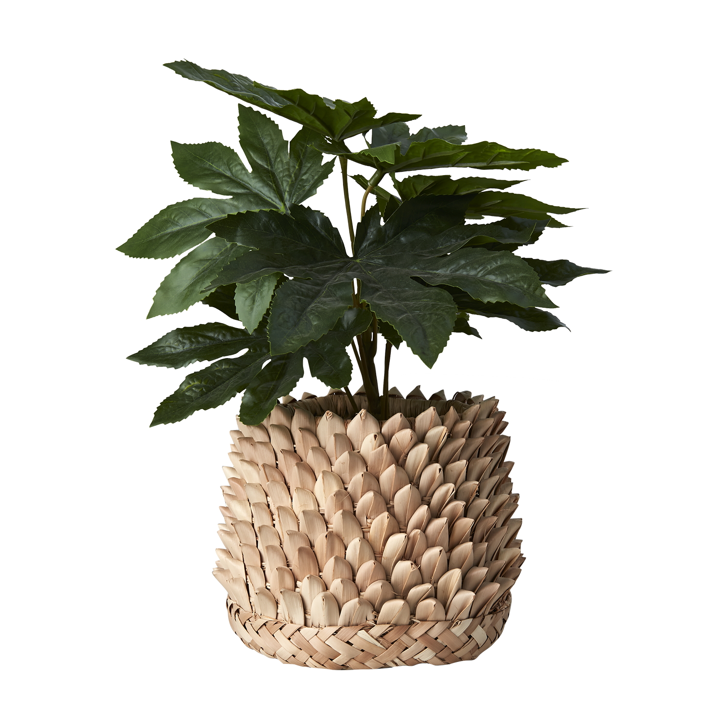 Affari of Sweden SPIKY Kruka, Natur