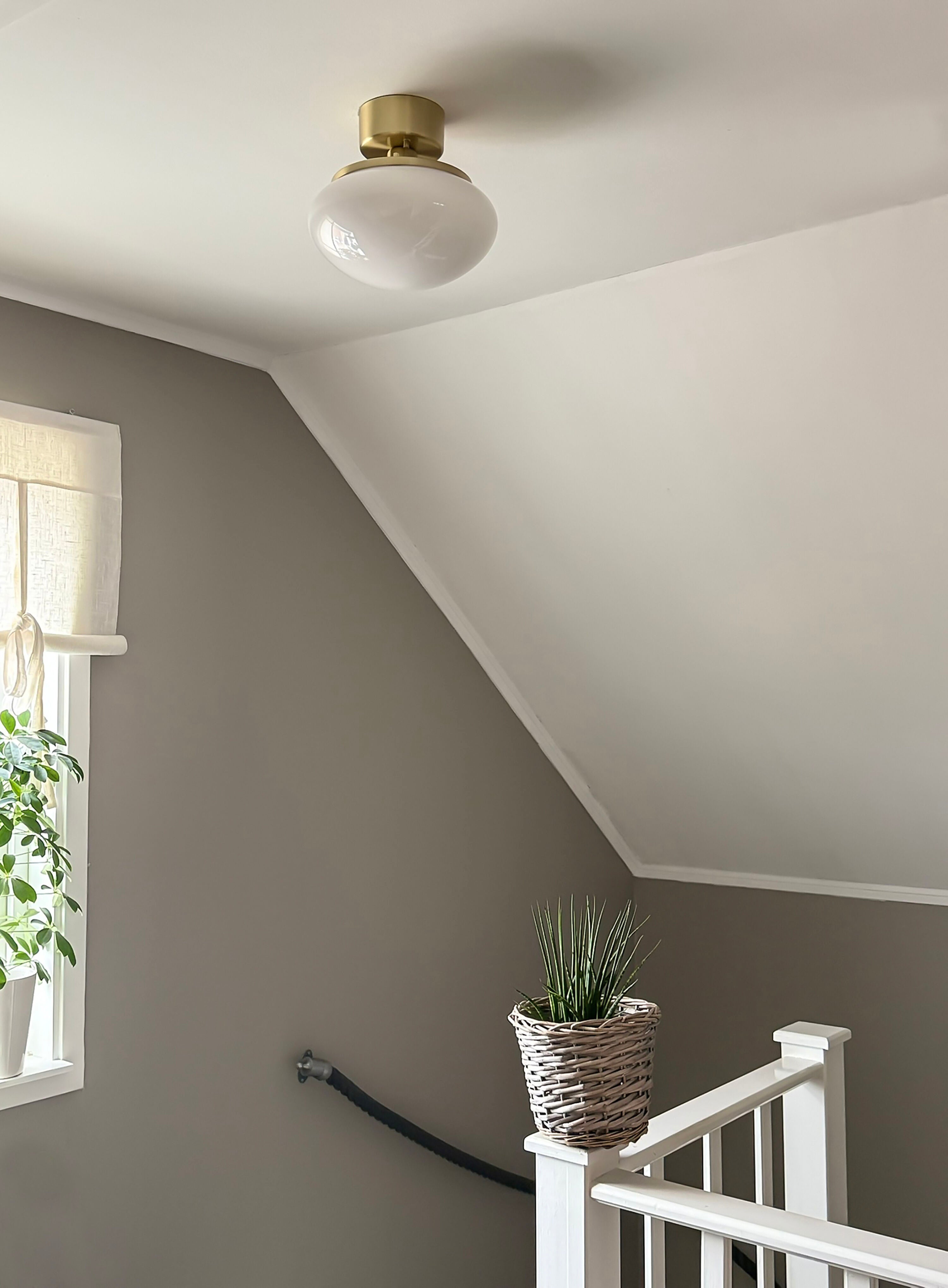 Aneta Home NEW AUGUST plafond