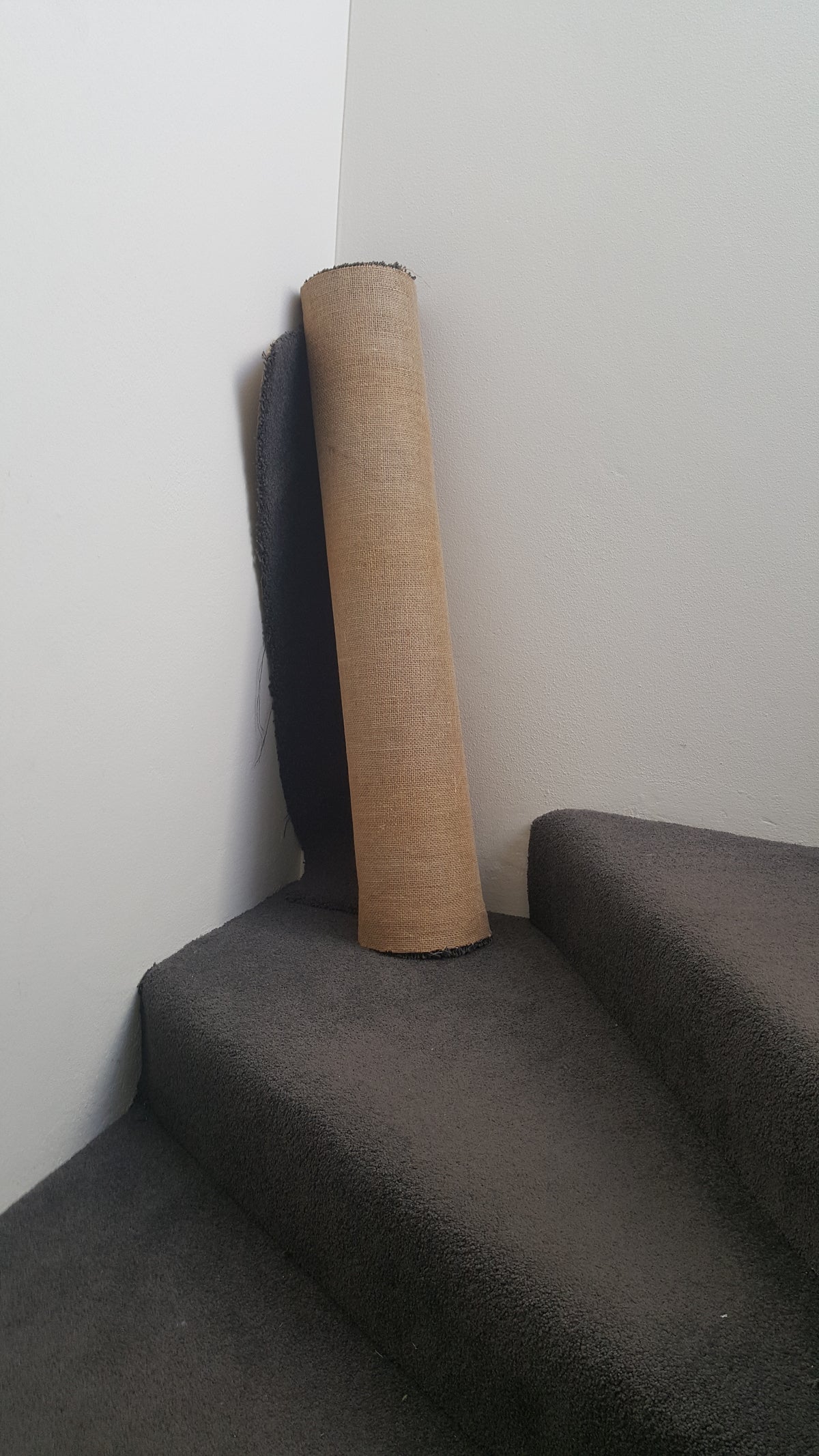 Venture Design Carpet Posters Brun
