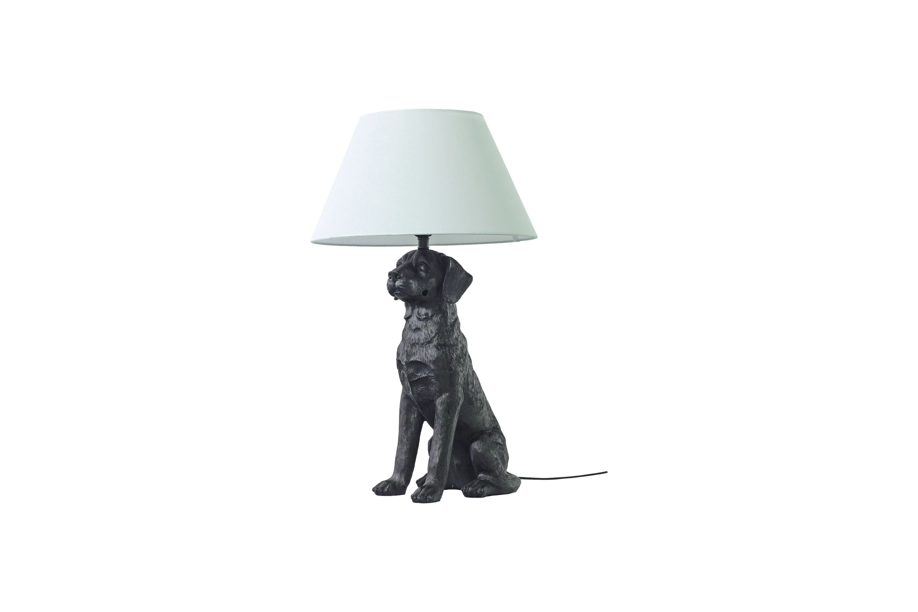 Aneta Home RETRIVER bordslampa