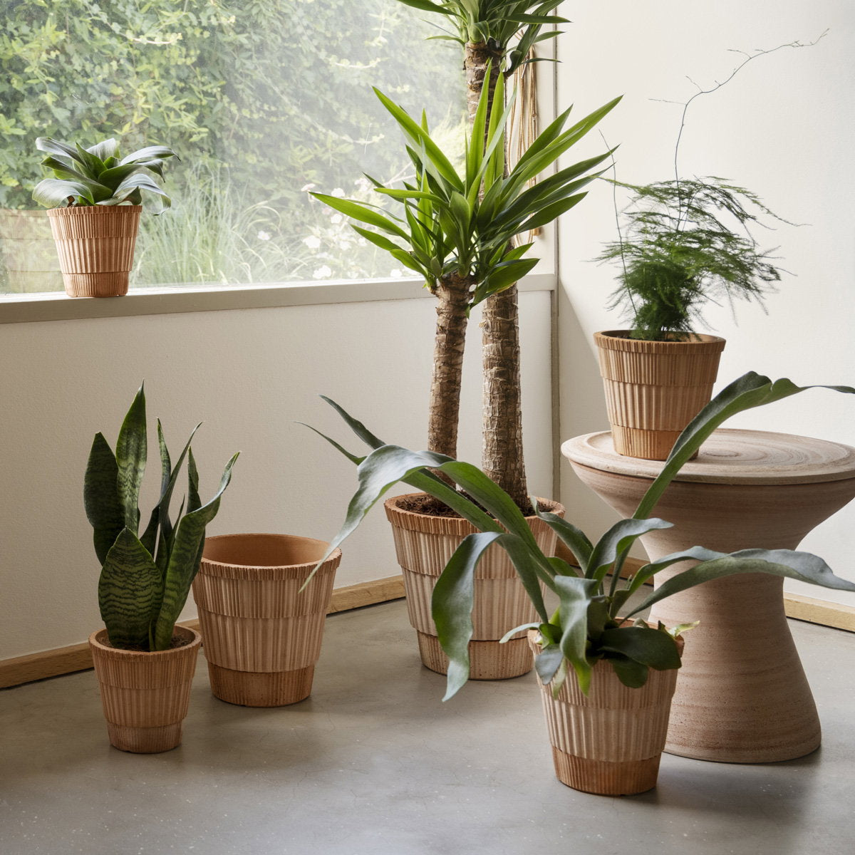Atlas Pot RAW Rosa