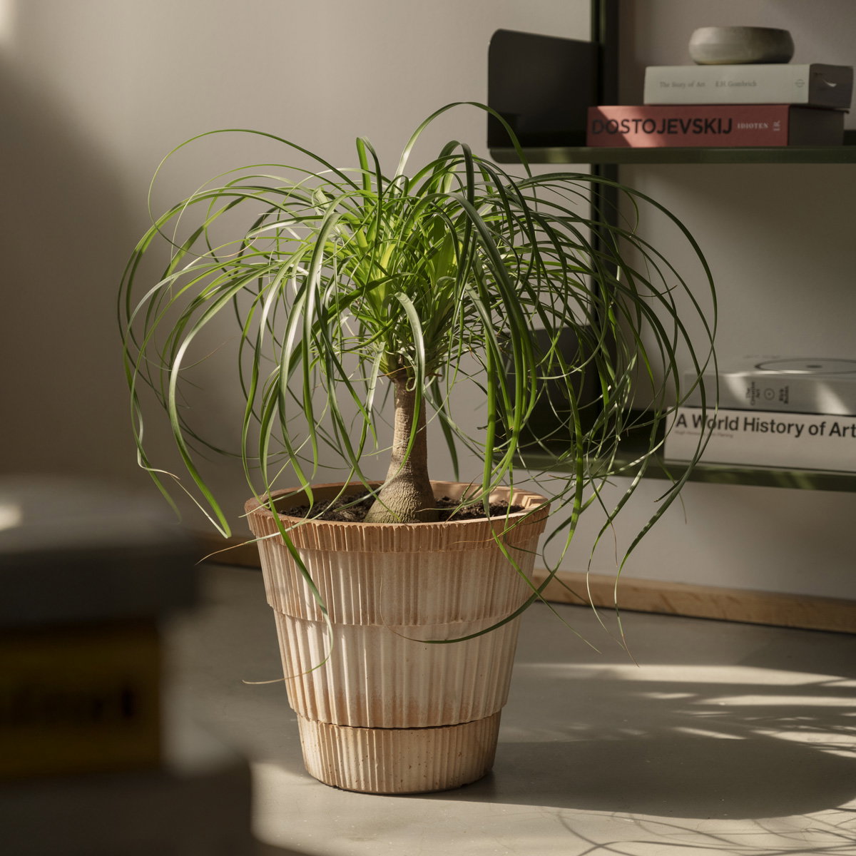 Atlas Pot RAW Rosa