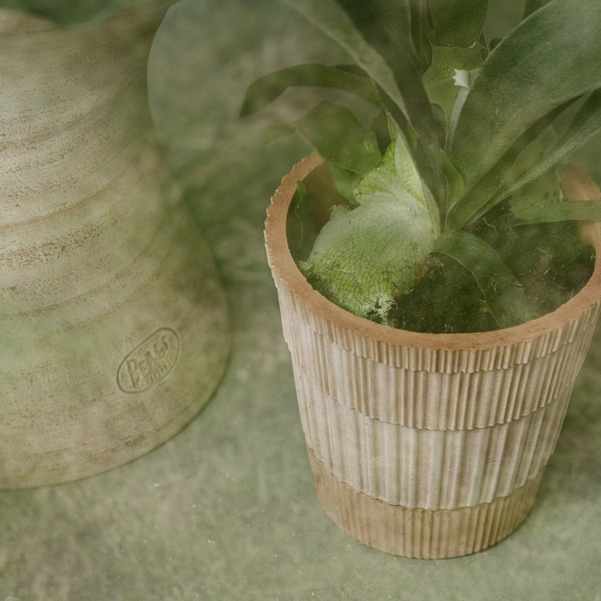 Atlas Pot RAW Rosa