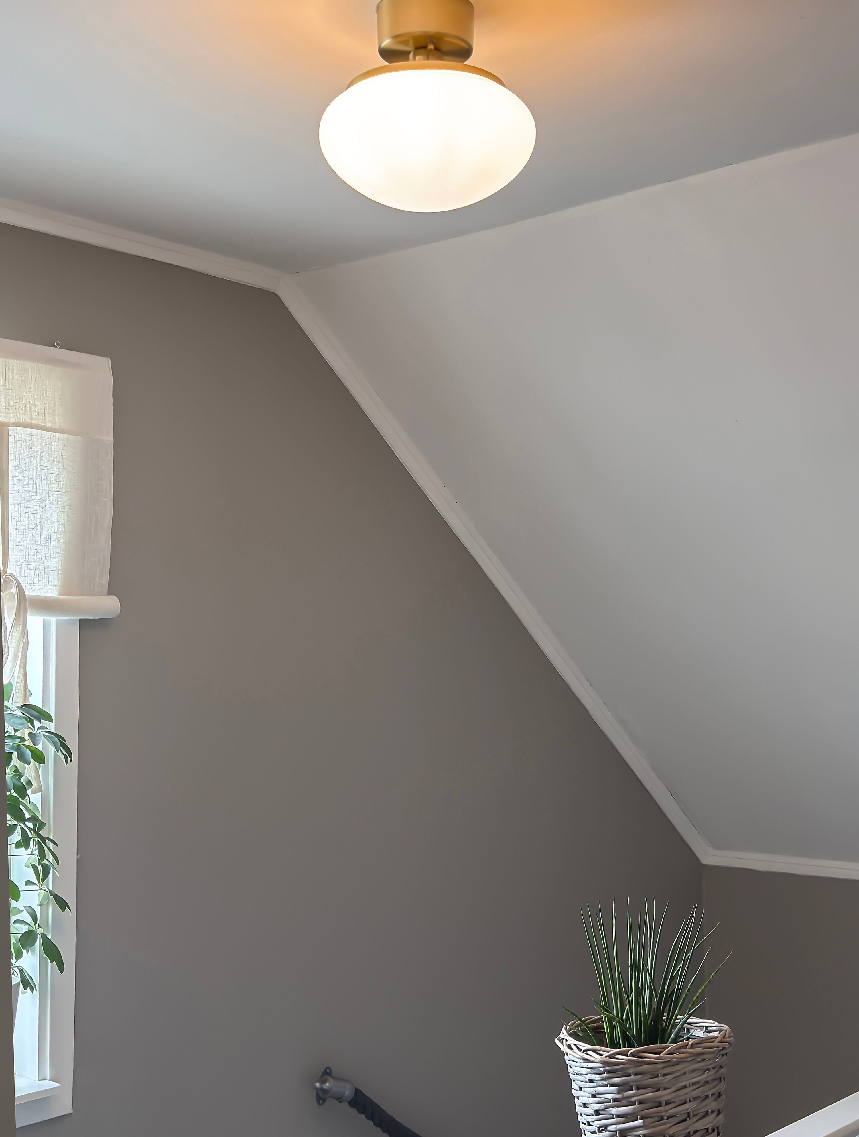 Aneta Home NEW AUGUST plafond