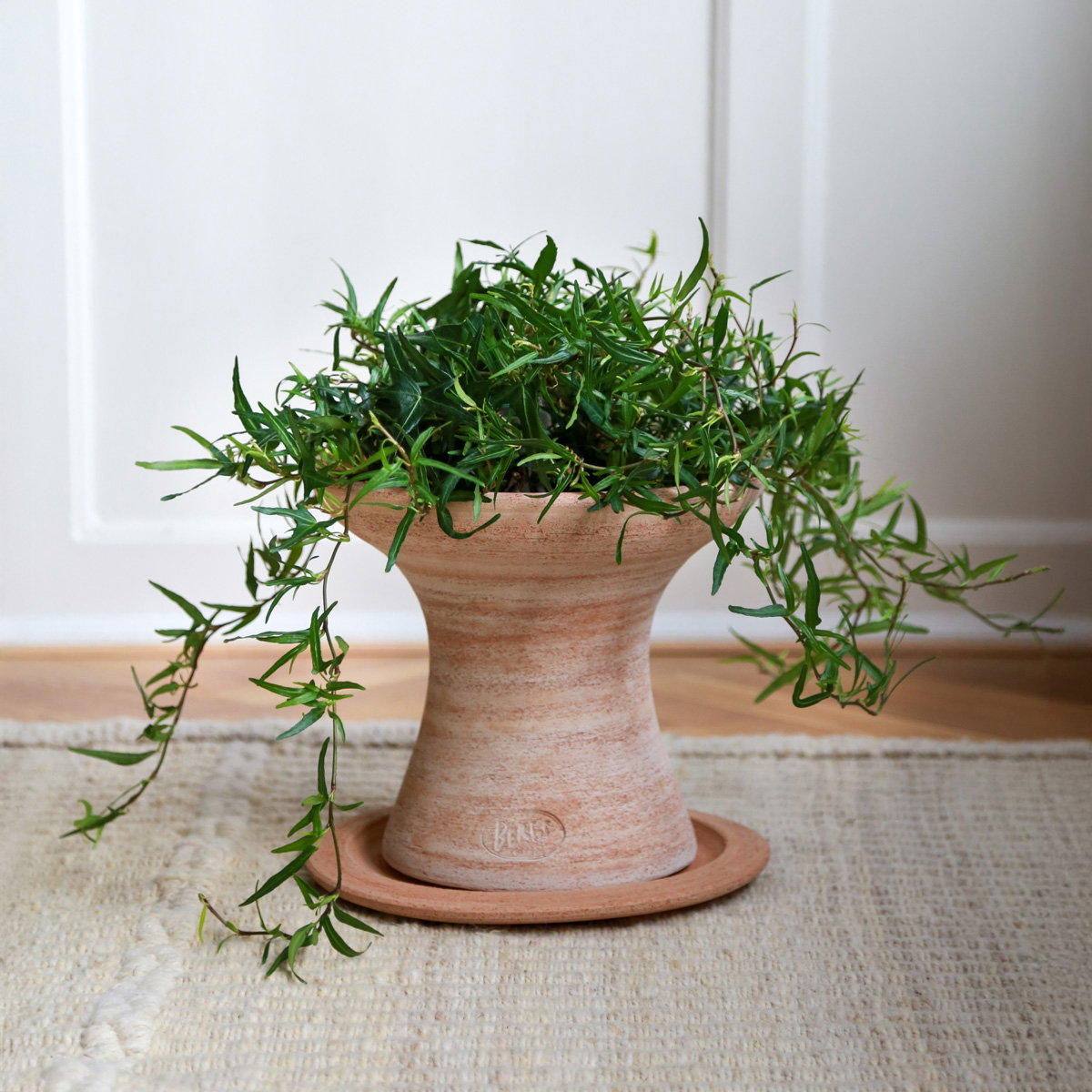 Celeste Pedestal RAW Rosa