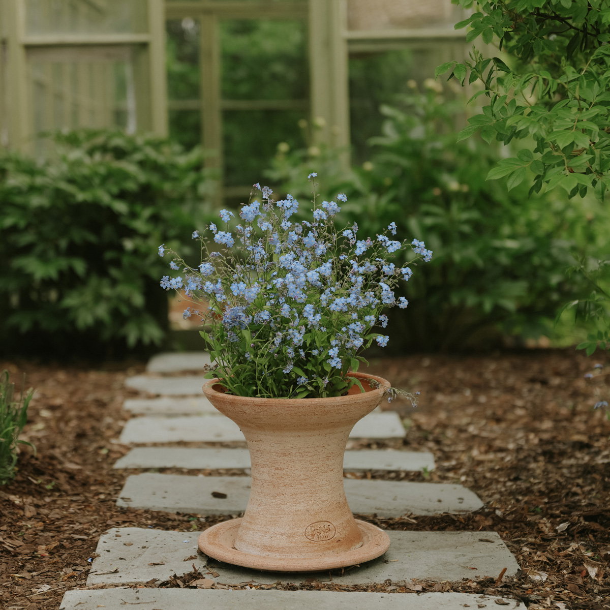 Celeste Pedestal RAW Rosa