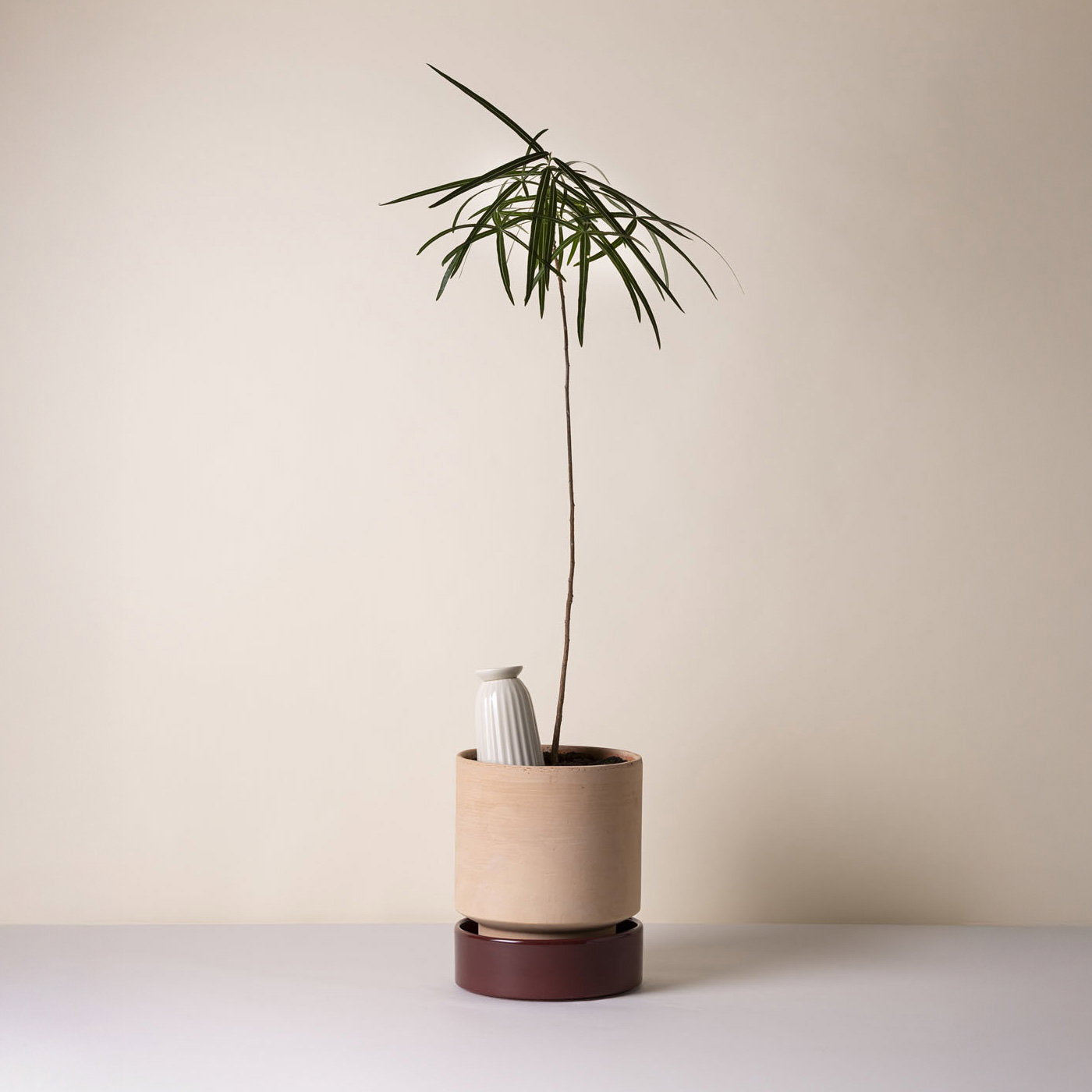 Cove Watering Tube Sandstone