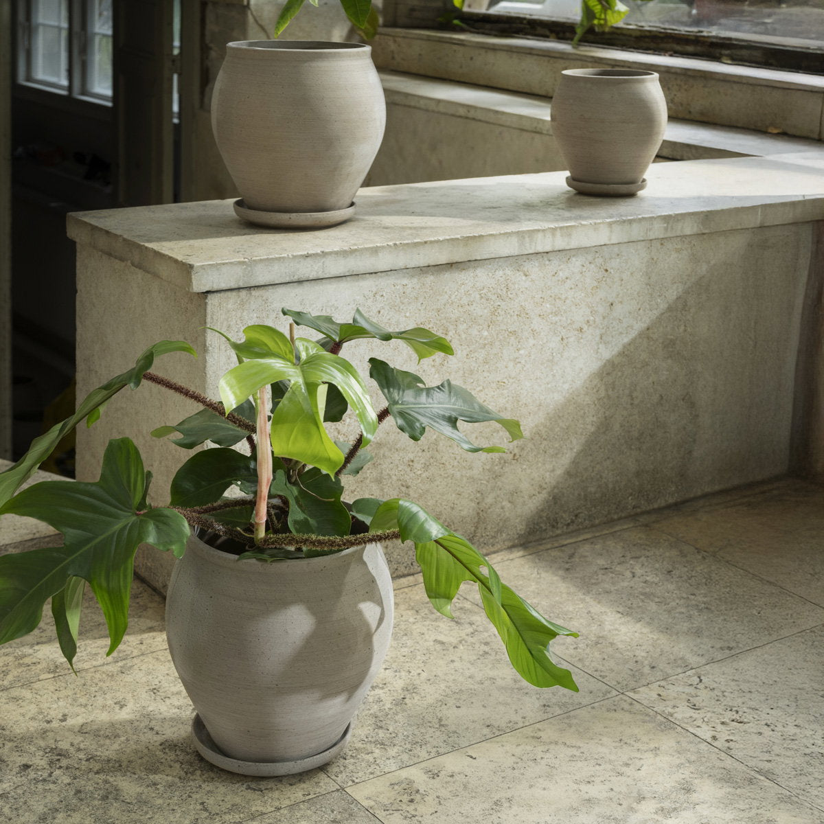 Delphi Pot RAW Grey