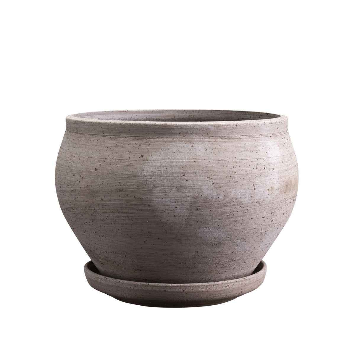Delphi Low Pot RAW Grey