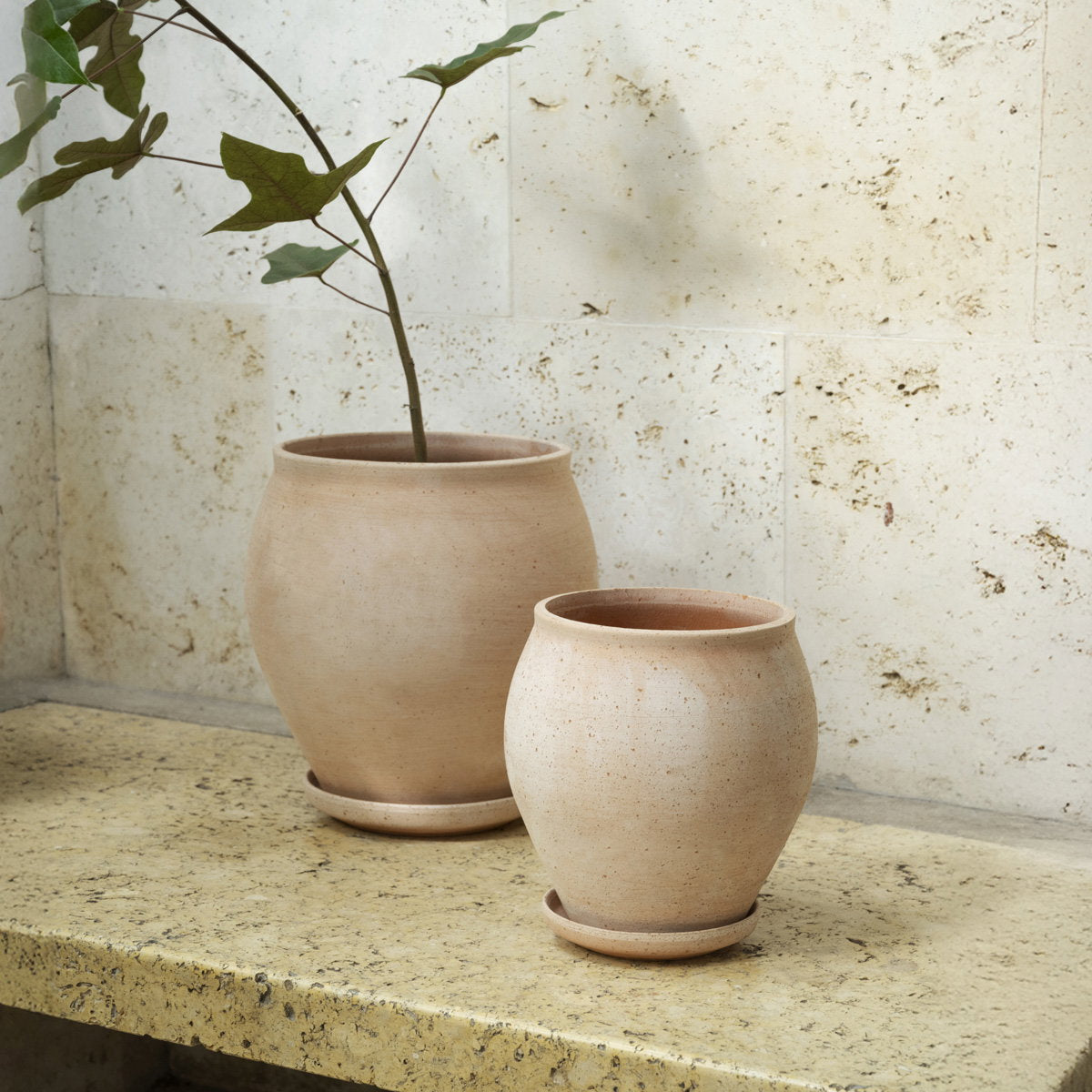Delphi Pot RAW Rosa
