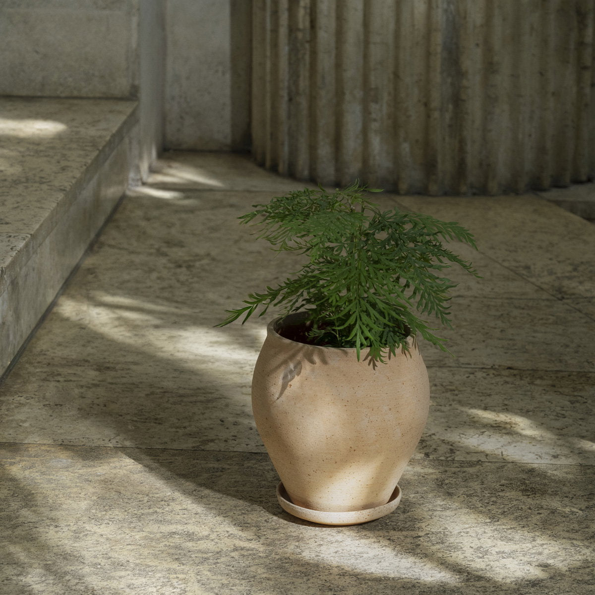 Delphi Pot RAW Rosa