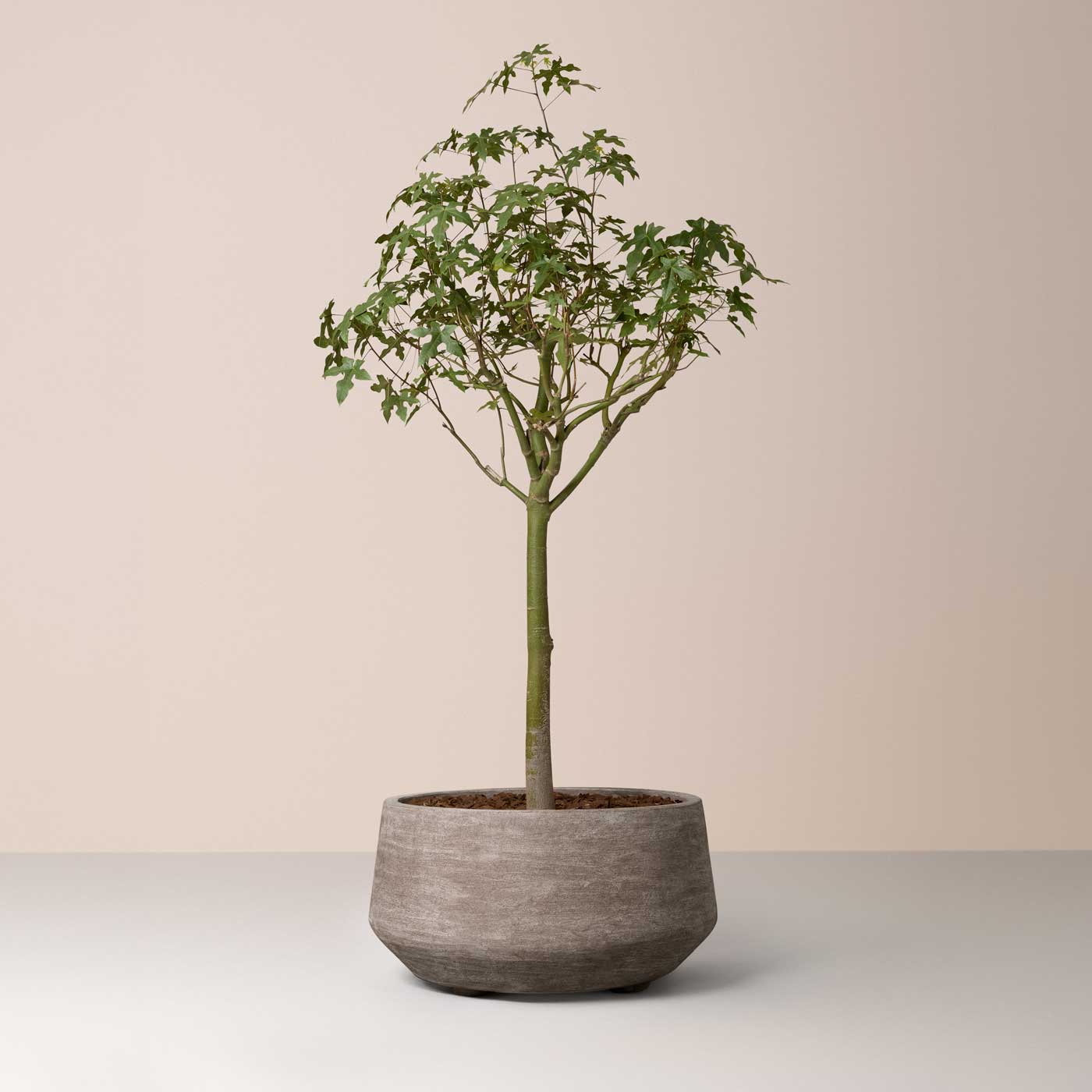 Doma Large Pot RAW Grey