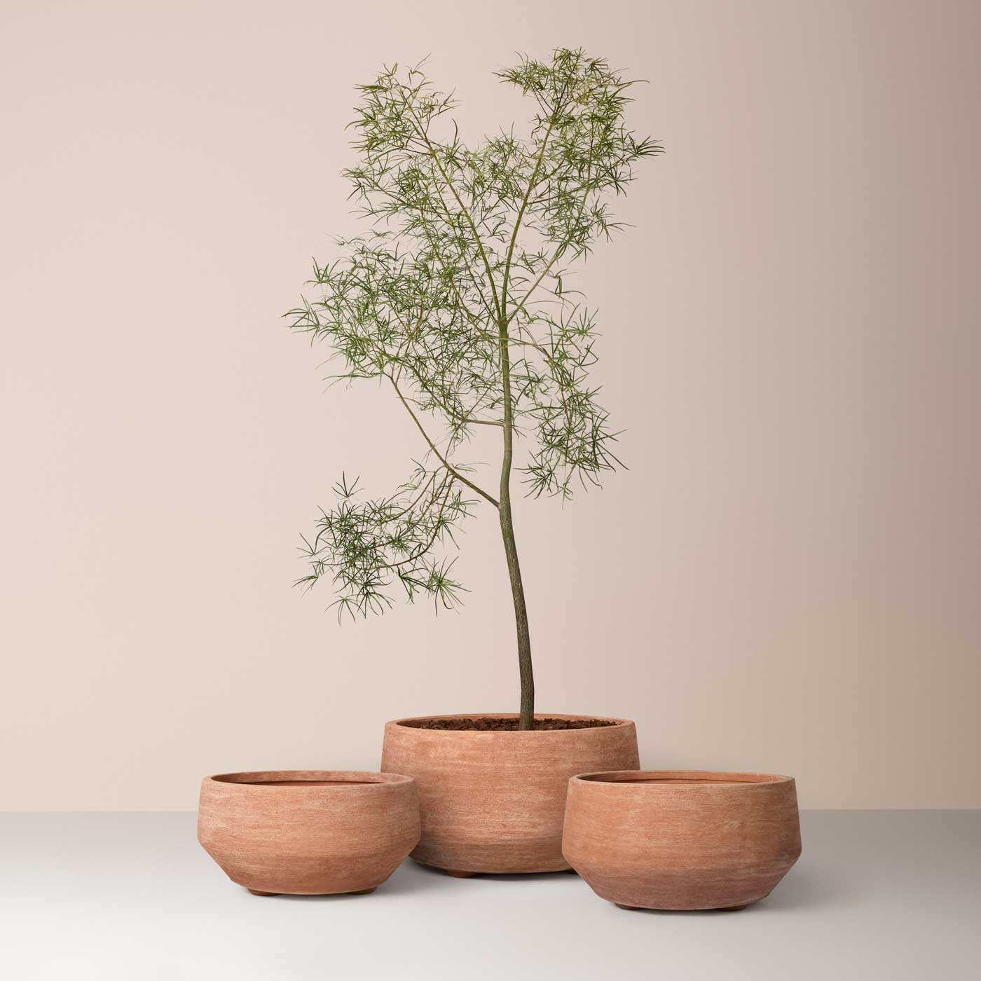 Doma Large Pot RAW Rosa