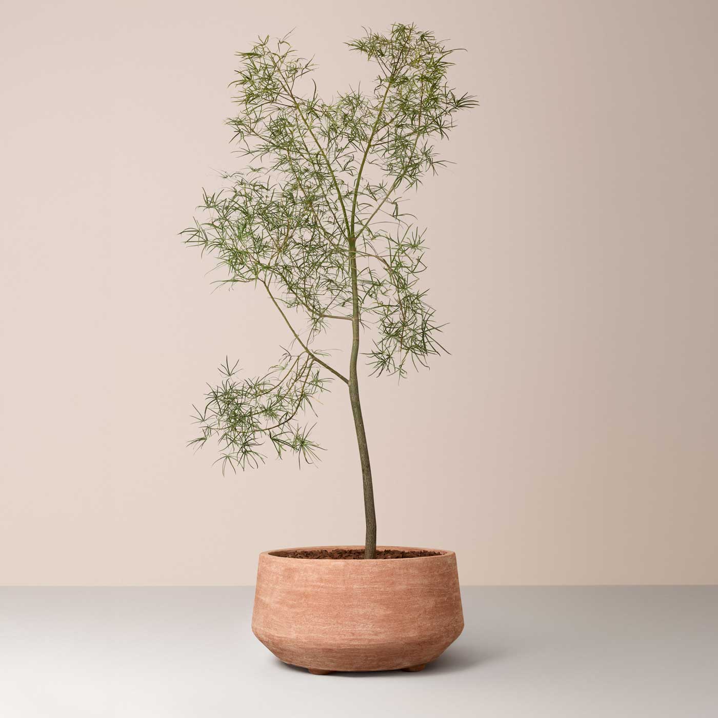 Doma Large Pot RAW Rosa