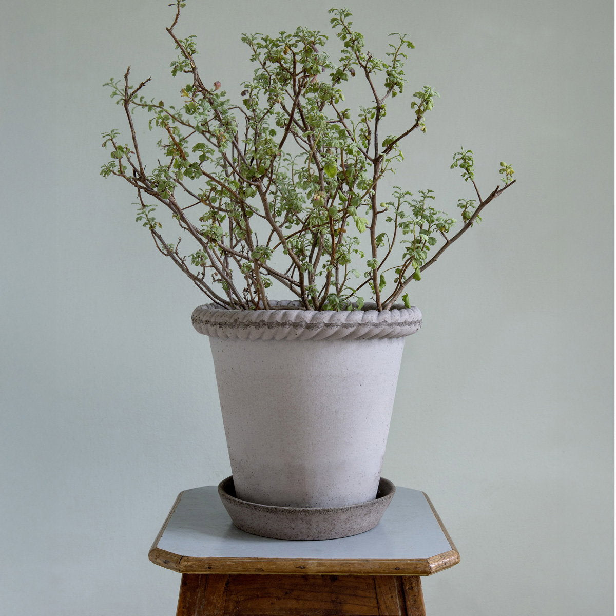Emilia Pot RAW Grey