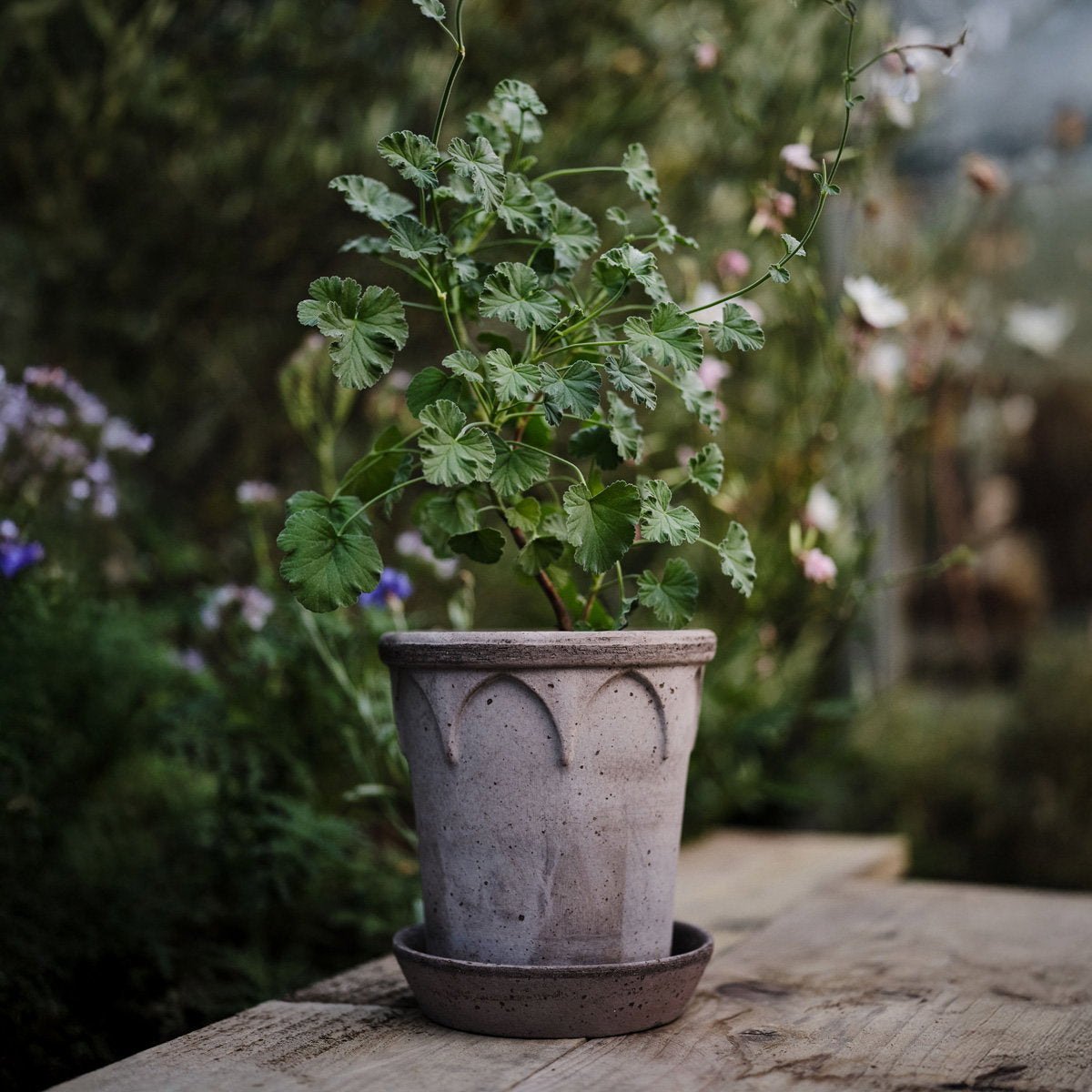 Elizabeth Pot RAW Grey