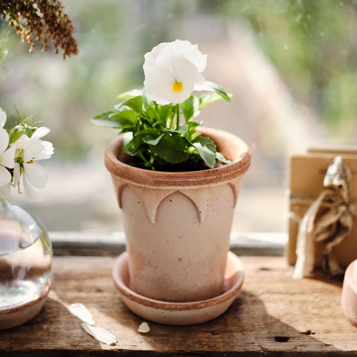 Elizabeth Pot RAW Rosa