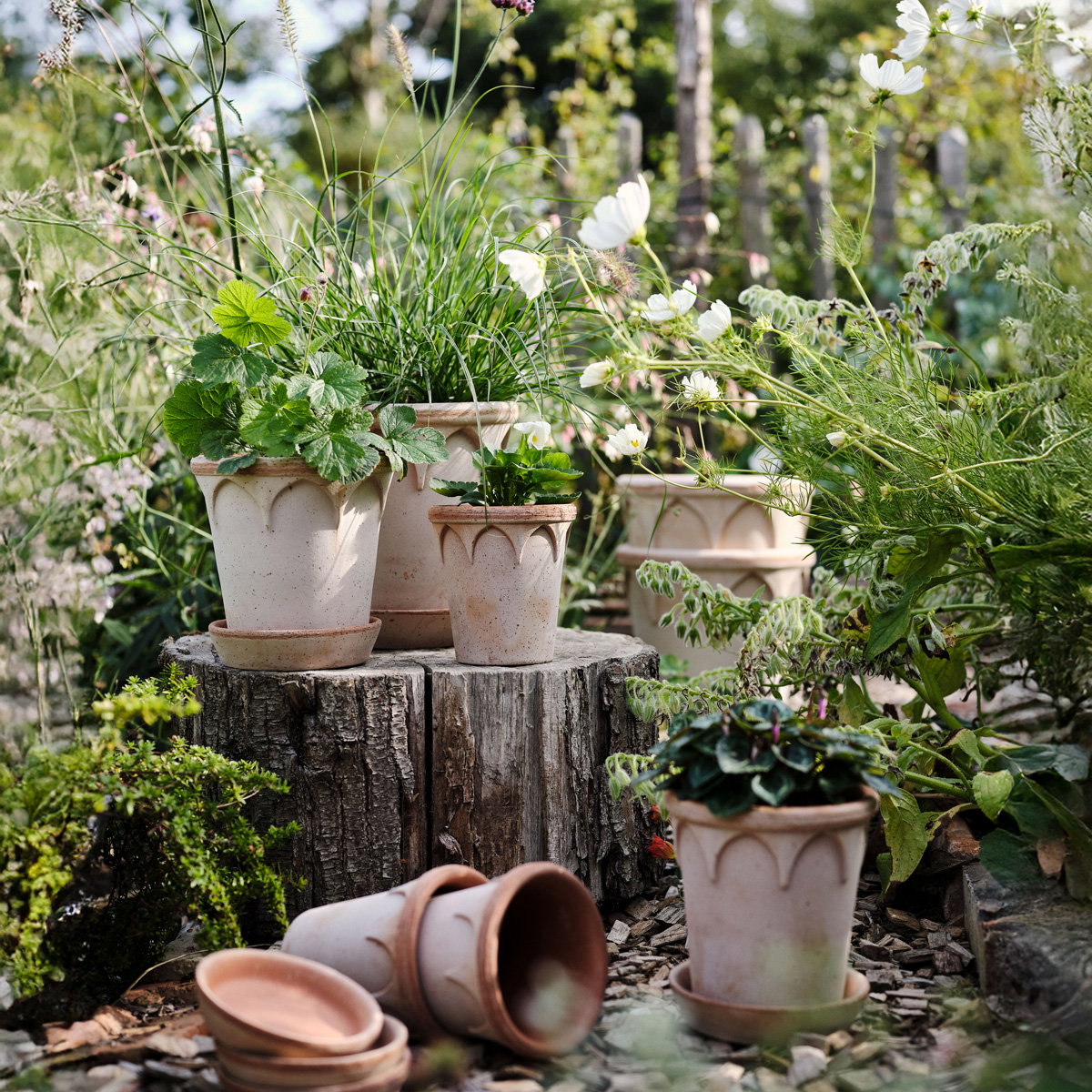 Elizabeth Pot RAW Rosa