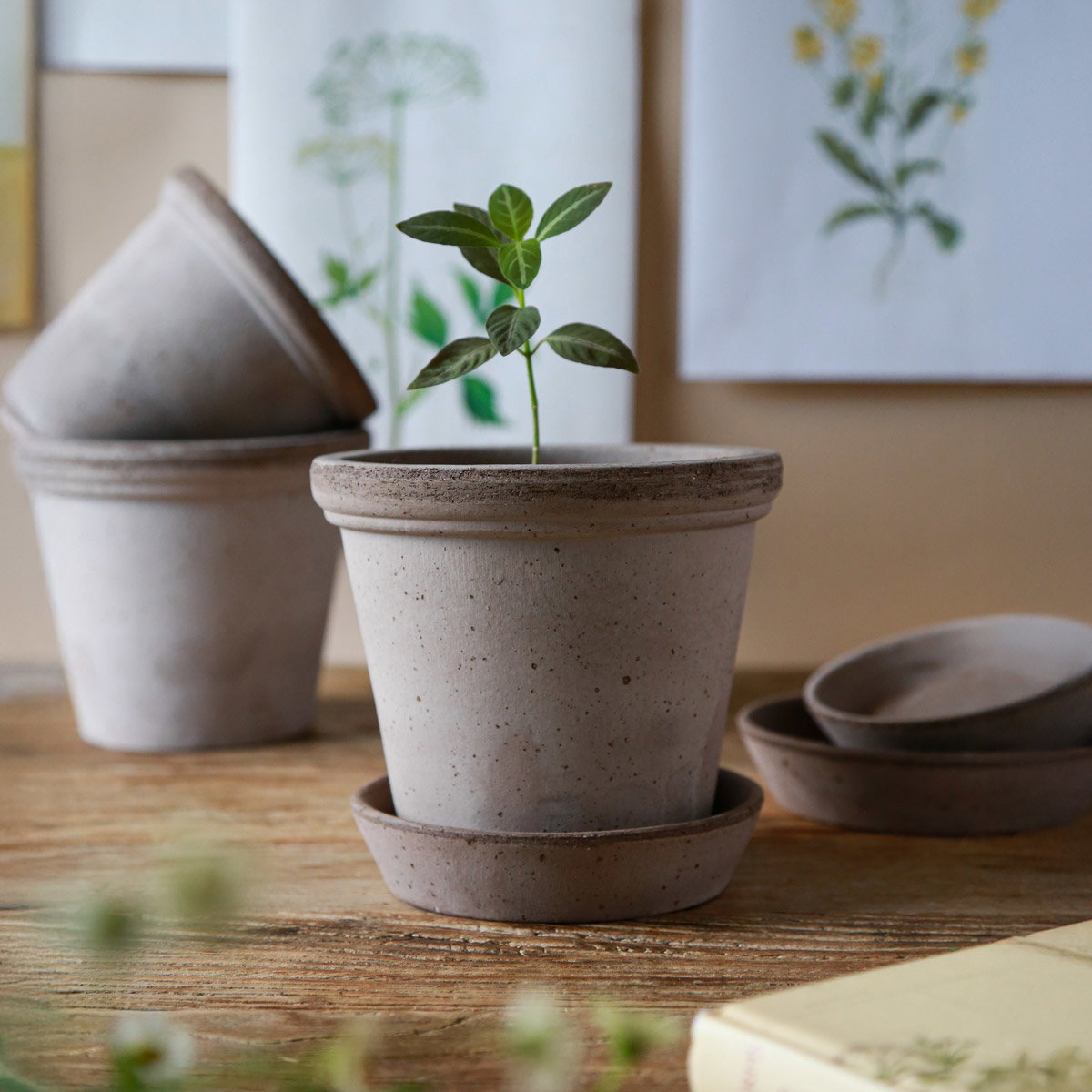 Flora Pot RAW Grey