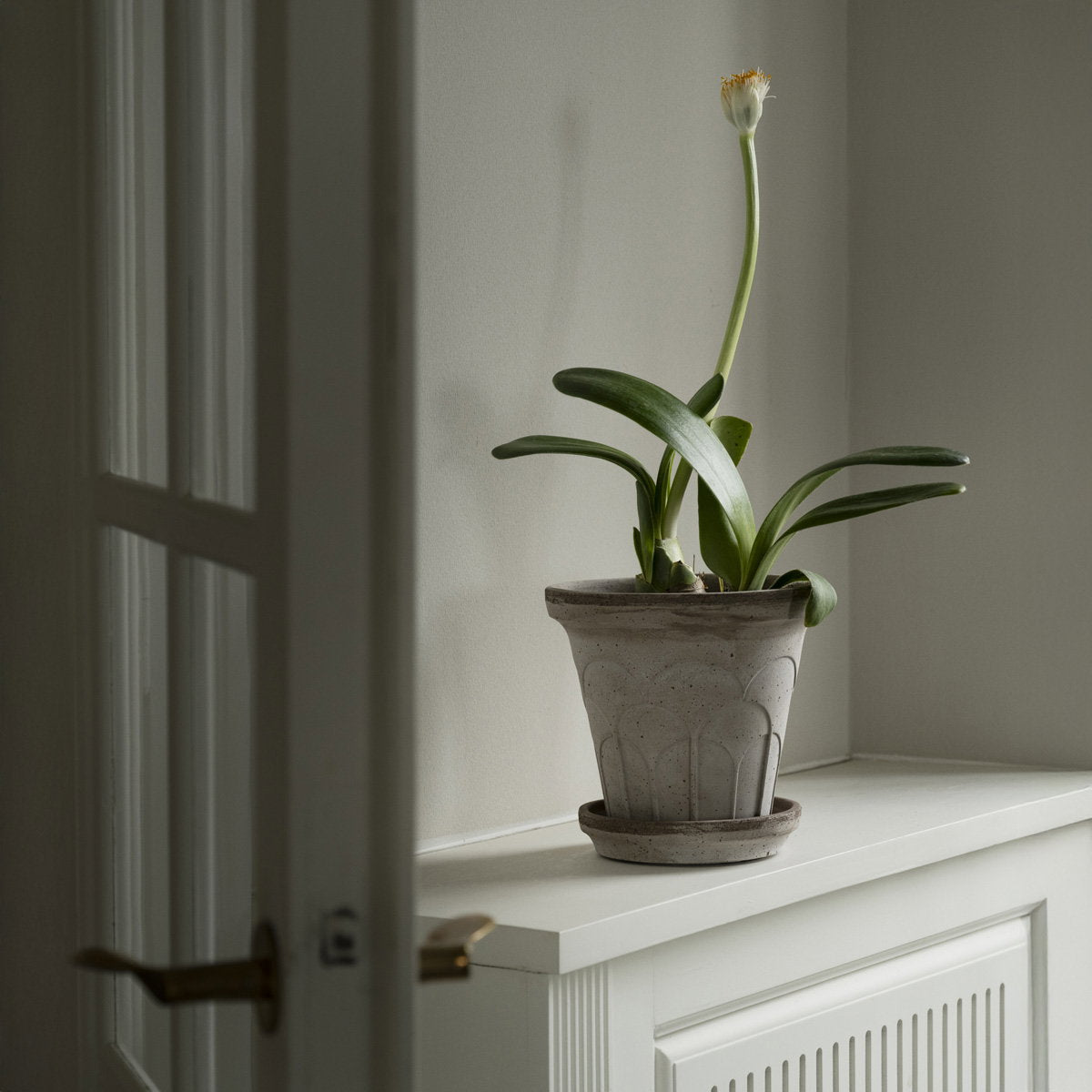 Fleur Pot RAW Grey