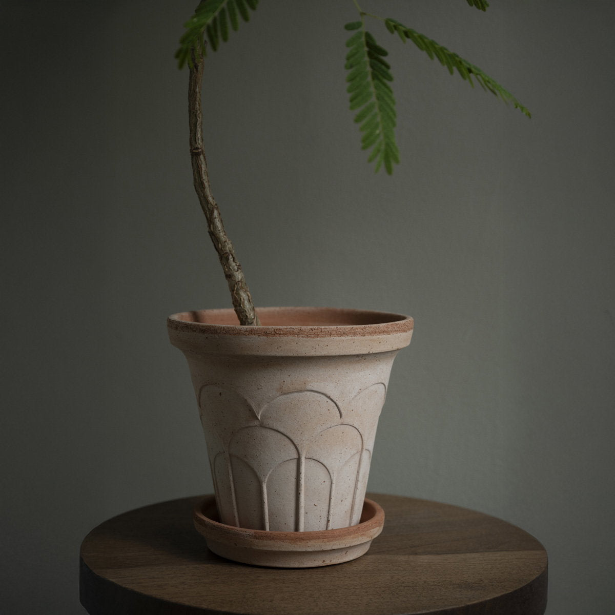 Fleur Pot RAW Rosa