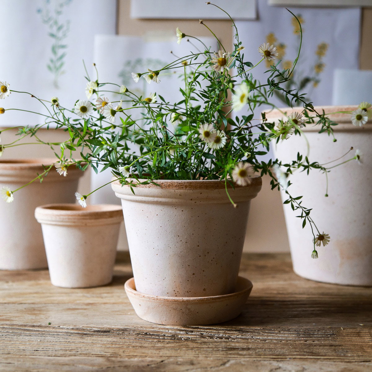 Flora Pot RAW Rosa