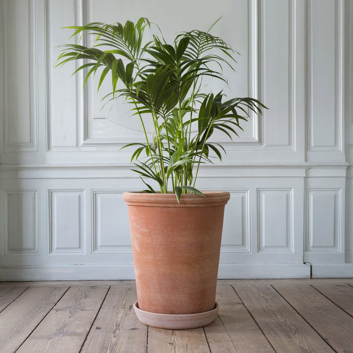 Flora Large Tall Pot RAW Rosa