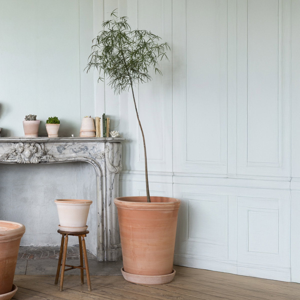Flora Large Tall Pot RAW Rosa