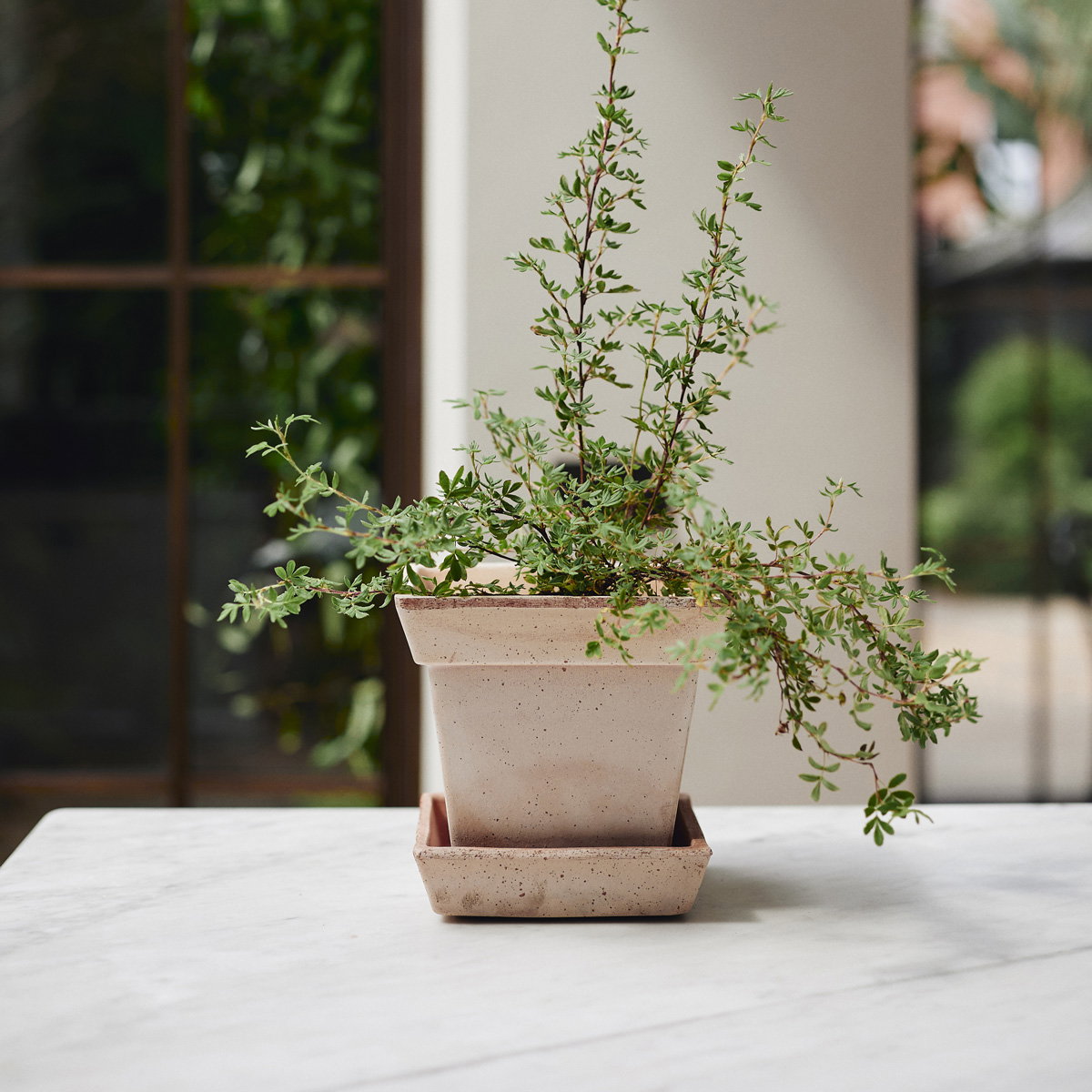 Gaia Pot RAW Rosa