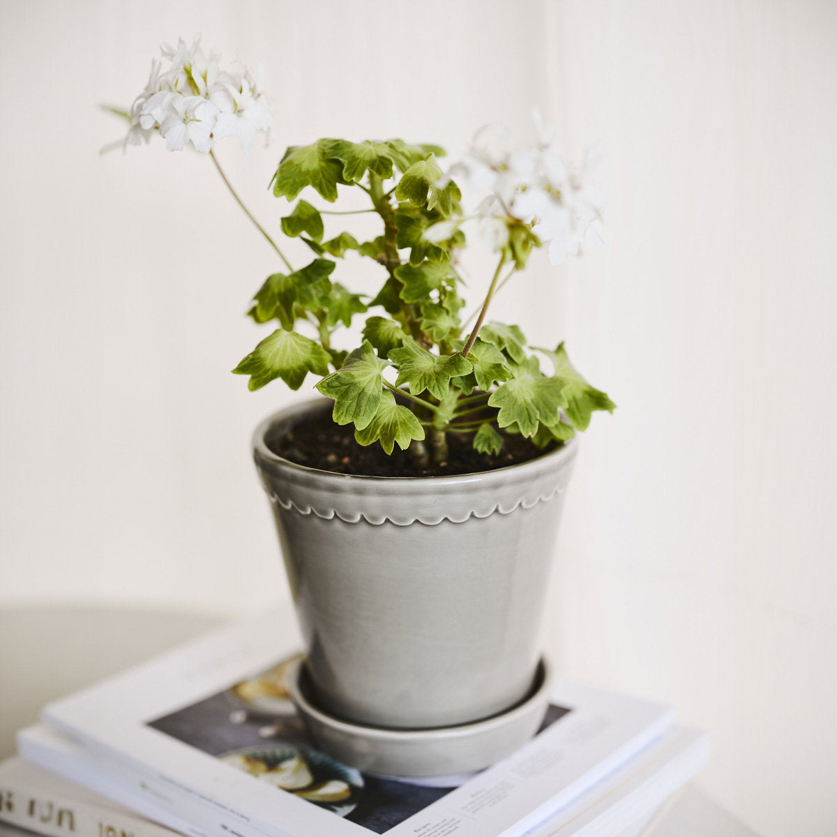 Helena Pot Pearl Grey