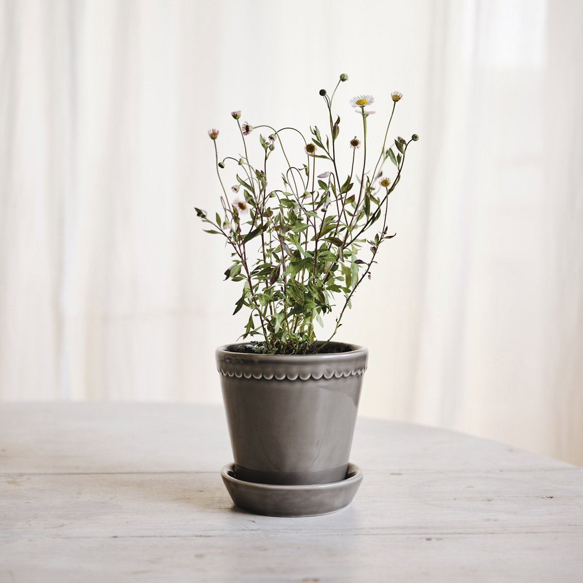 Helena Pot Pearl Grey