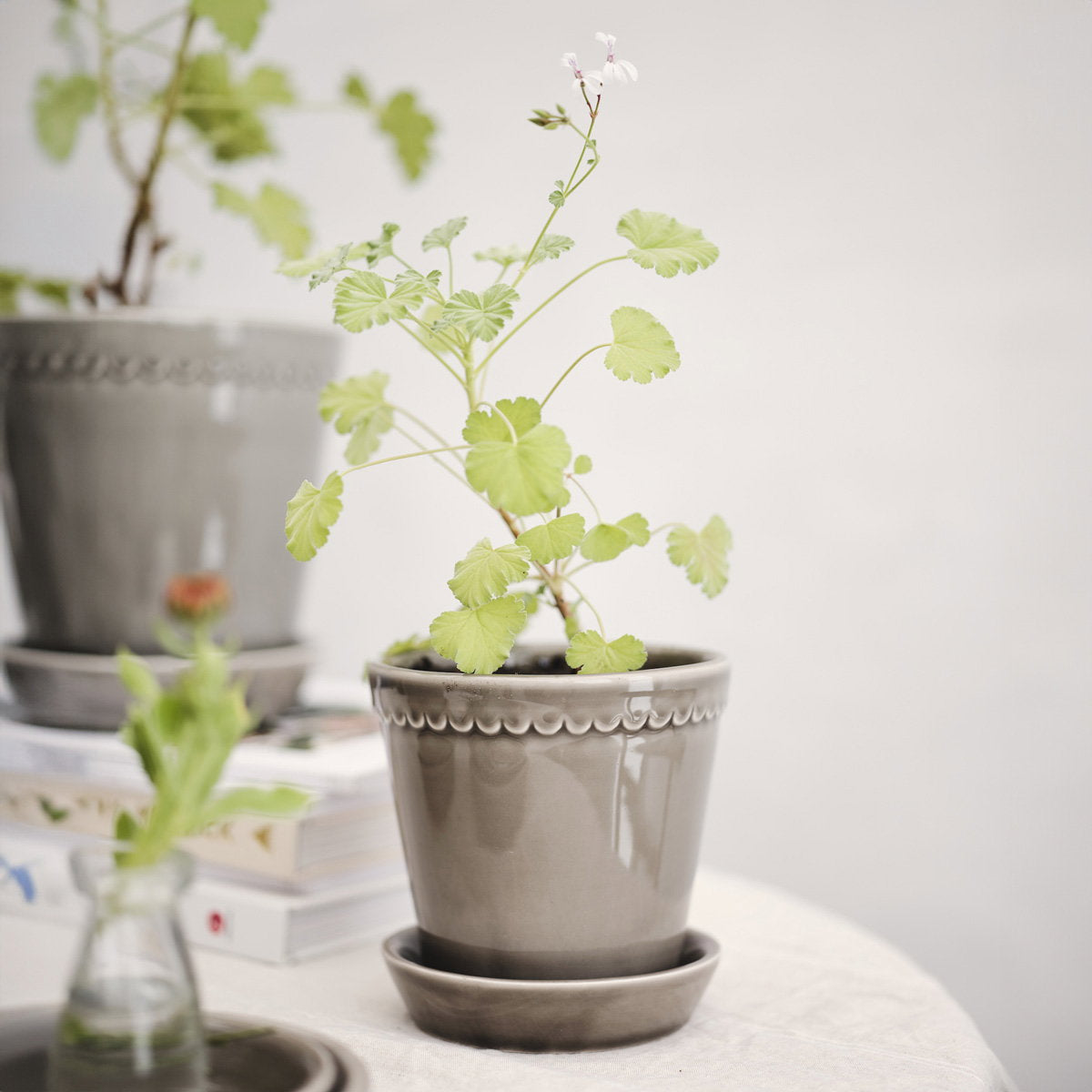 Helena Pot Pearl Grey