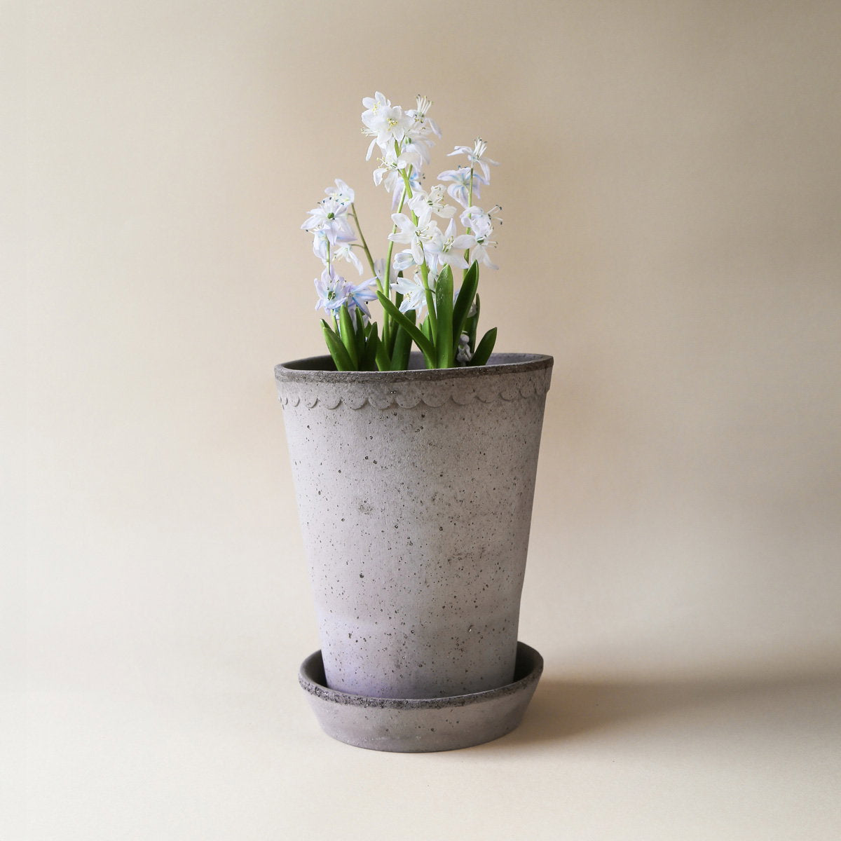 Helena Tall Pot RAW Grey