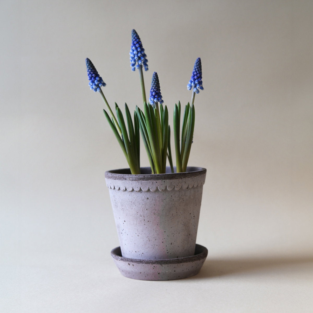 Helena Pot RAW Grey
