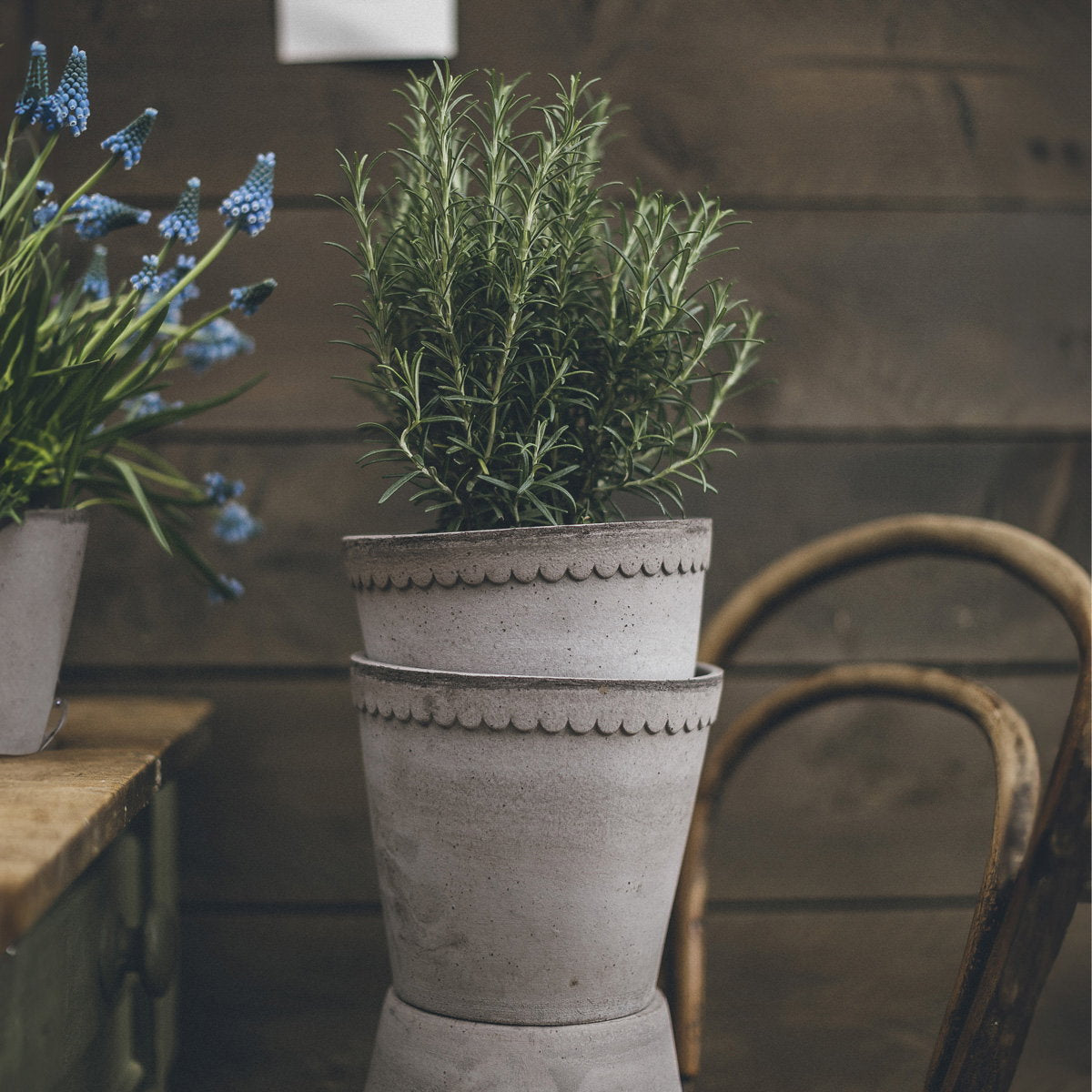 Helena Pot RAW Grey