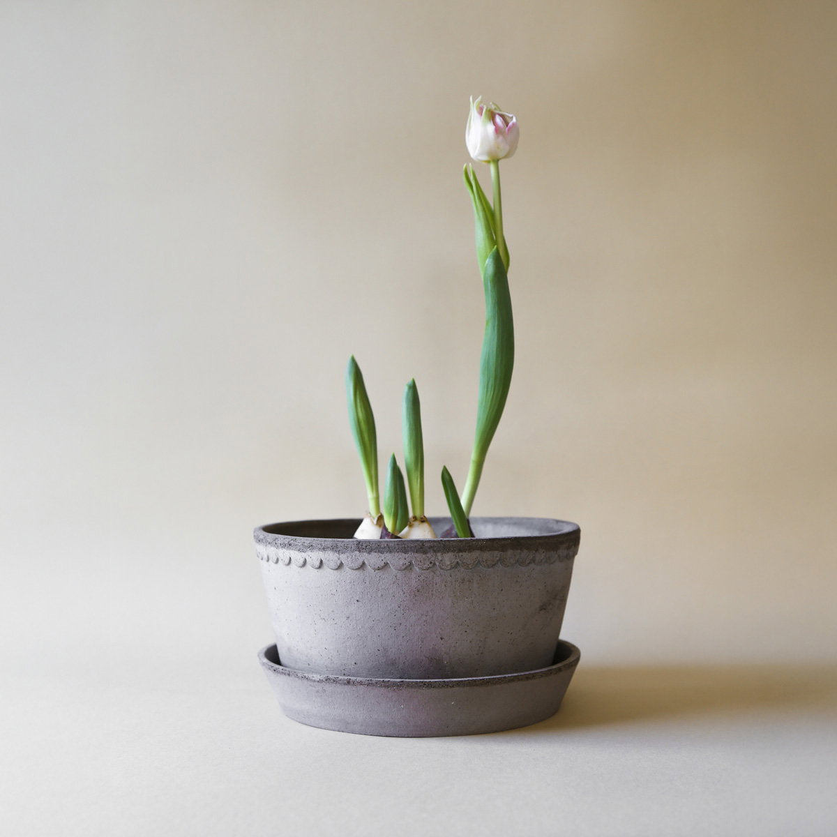 Helena Low Pot RAW Grey