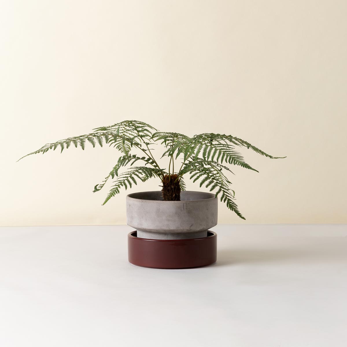 Hoff Low Pot RAW Grey