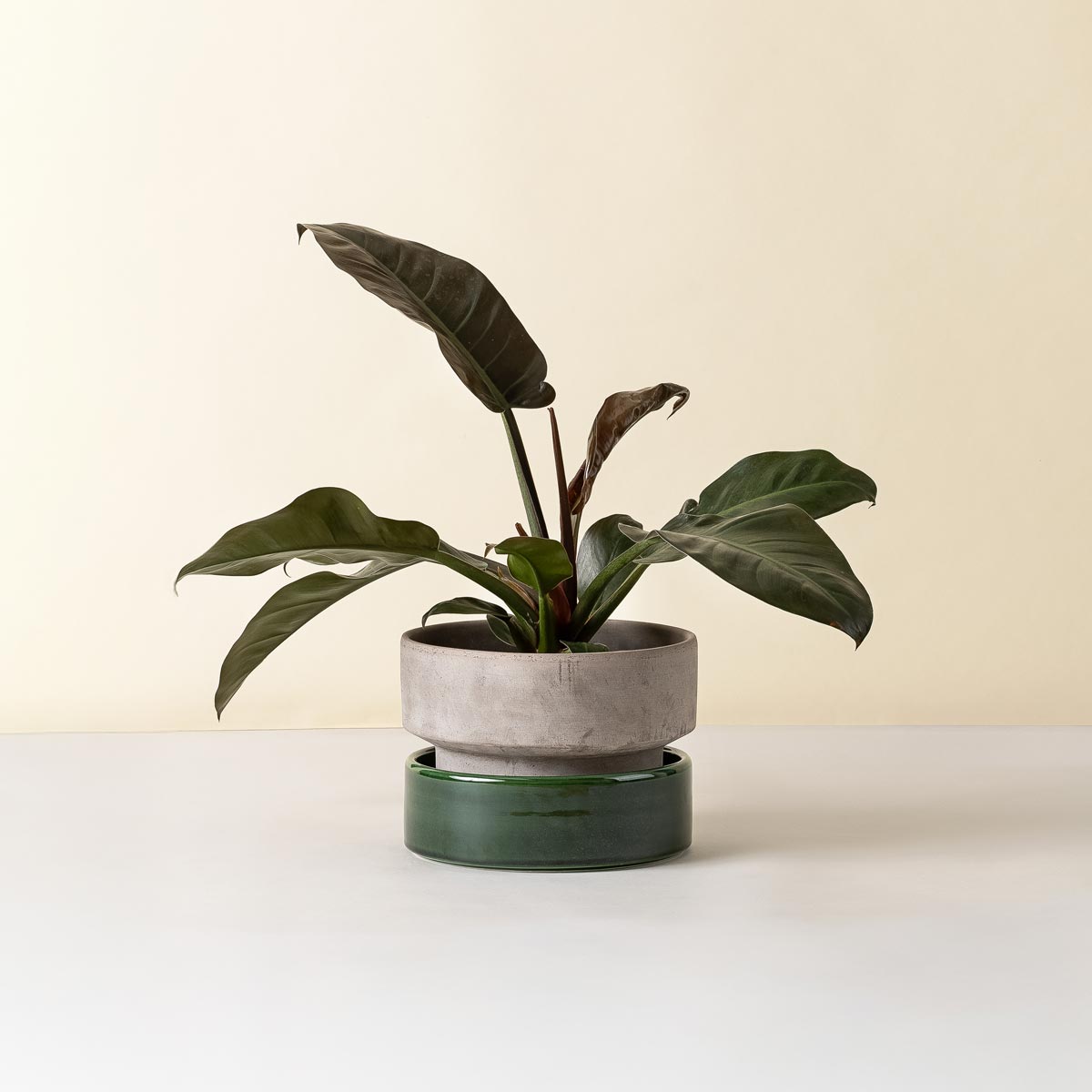Hoff Low Pot RAW Grey