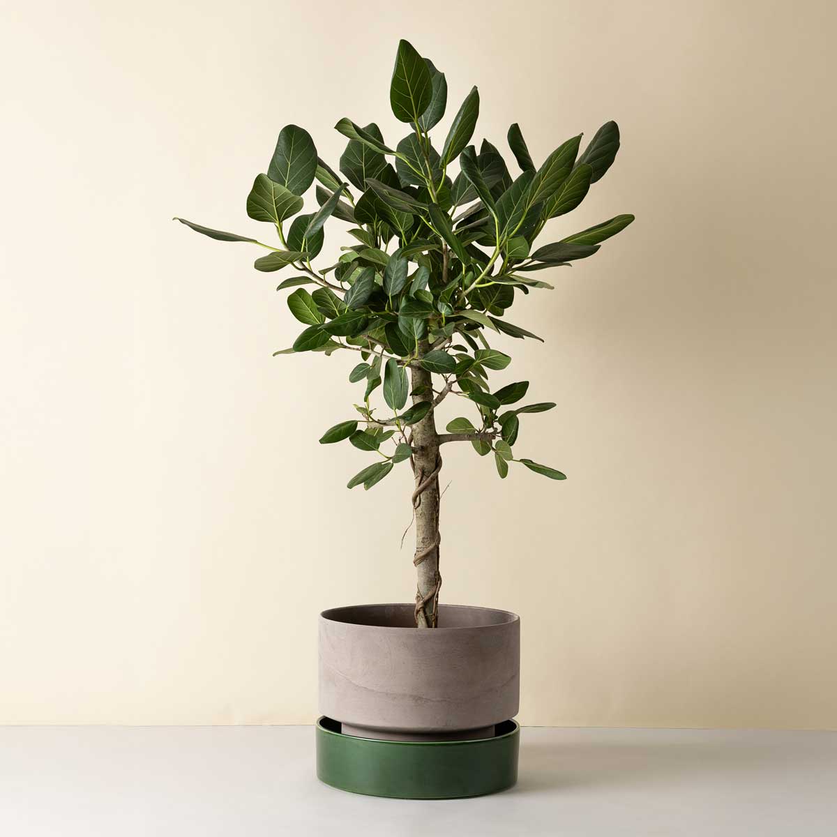 Hoff Large Pot RAW Grey