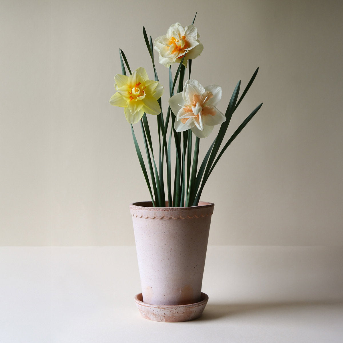 Helena Tall Pot RAW Rosa