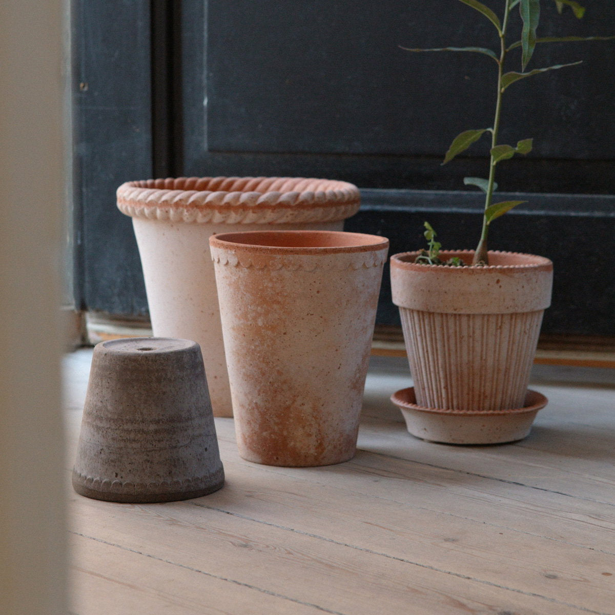 Helena Tall Pot RAW Rosa
