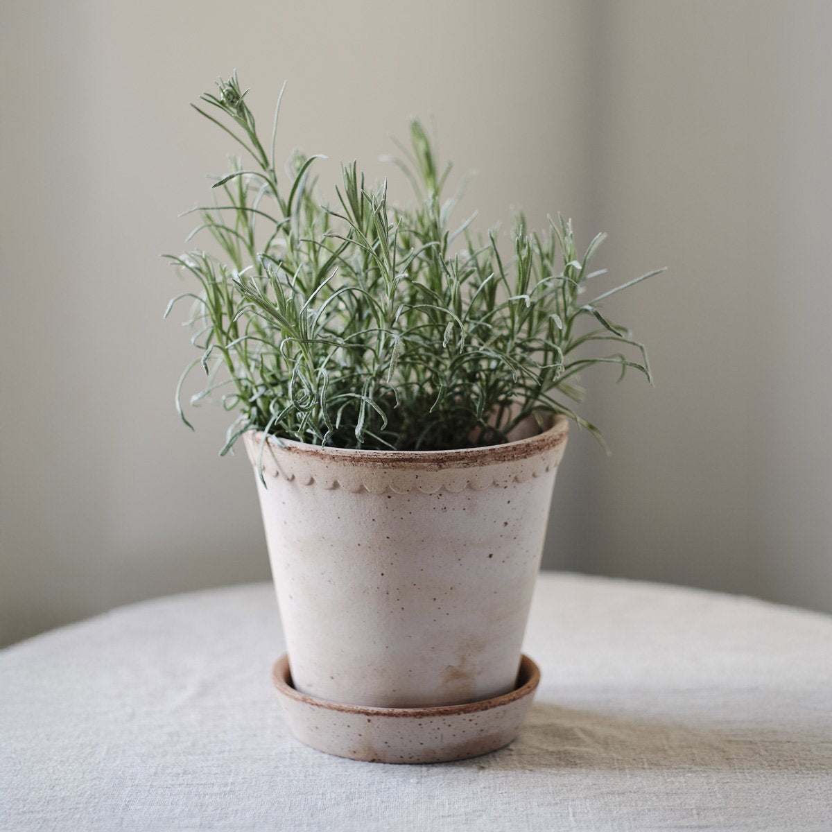 Helena Pot RAW Rosa