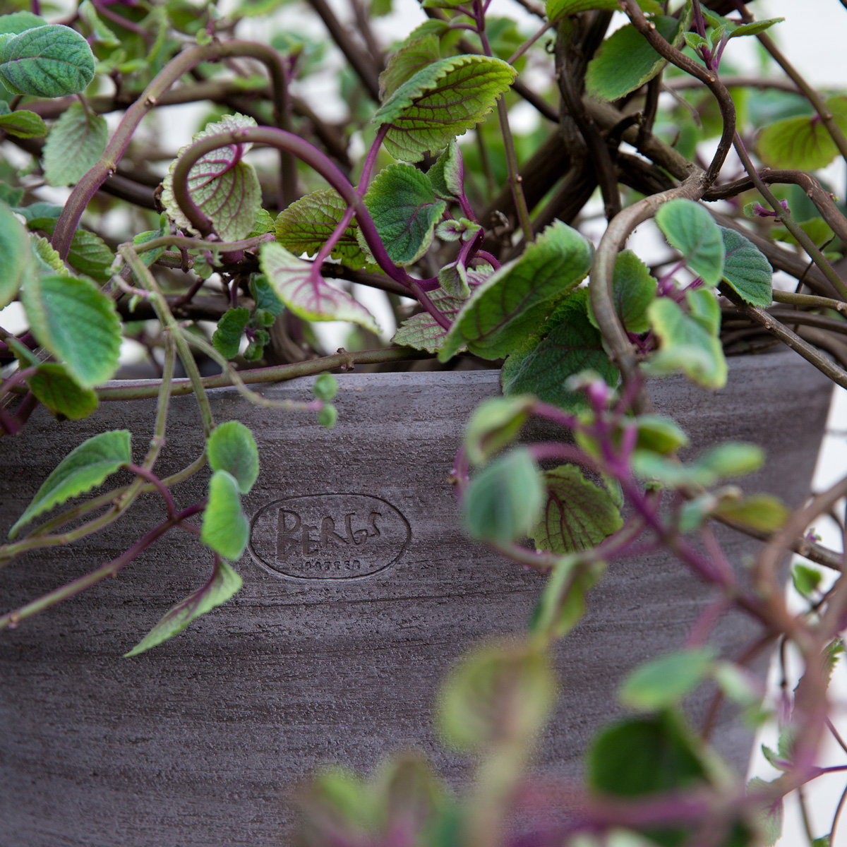 Julie Large Pot RAW Grey