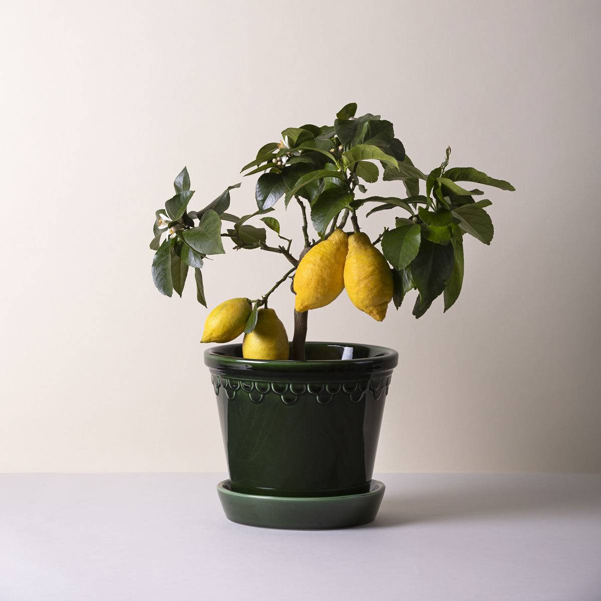 Københavner Pot Emerald Green