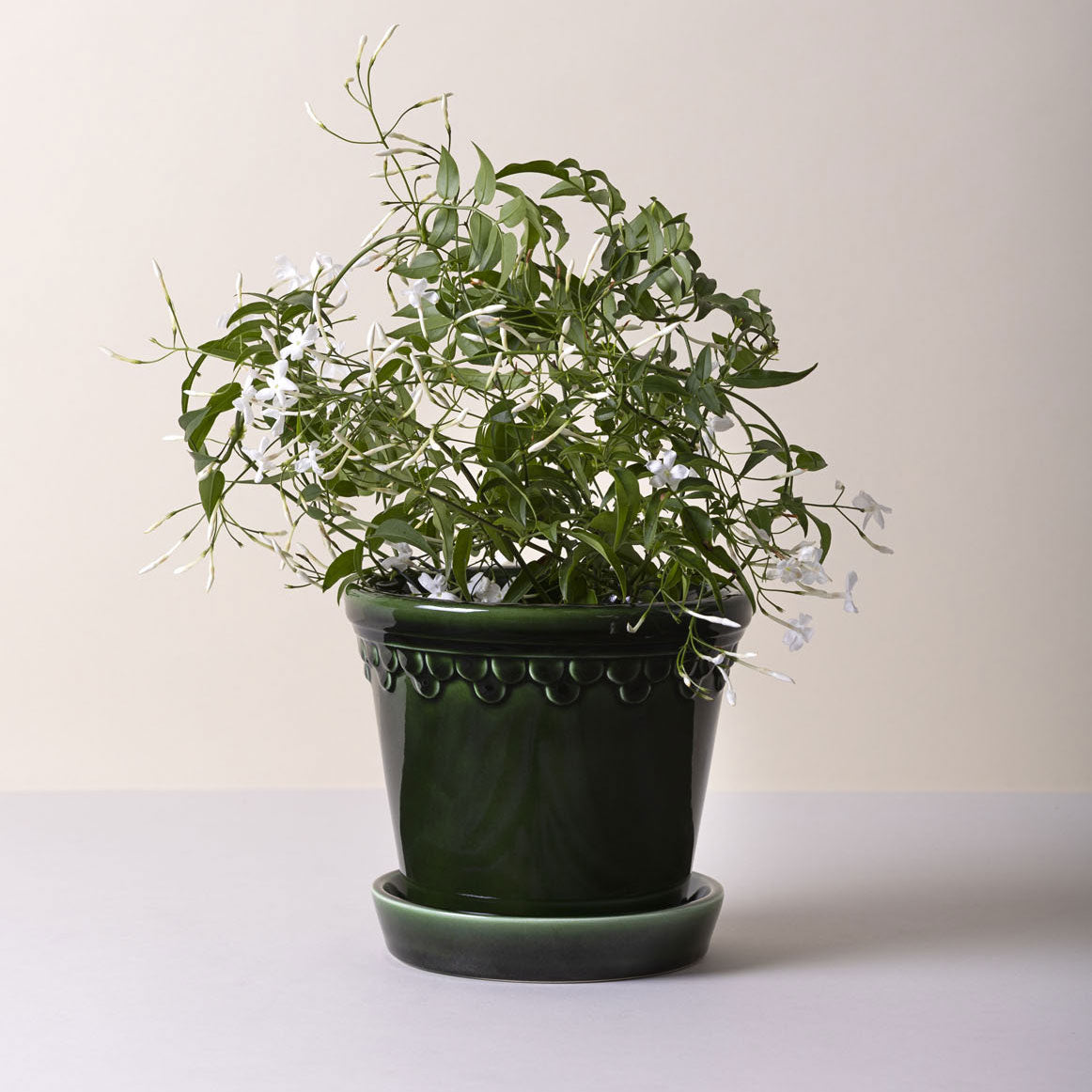 Københavner Pot Emerald Green