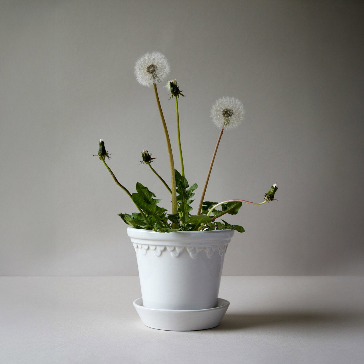 Københavner Pot Mineral White