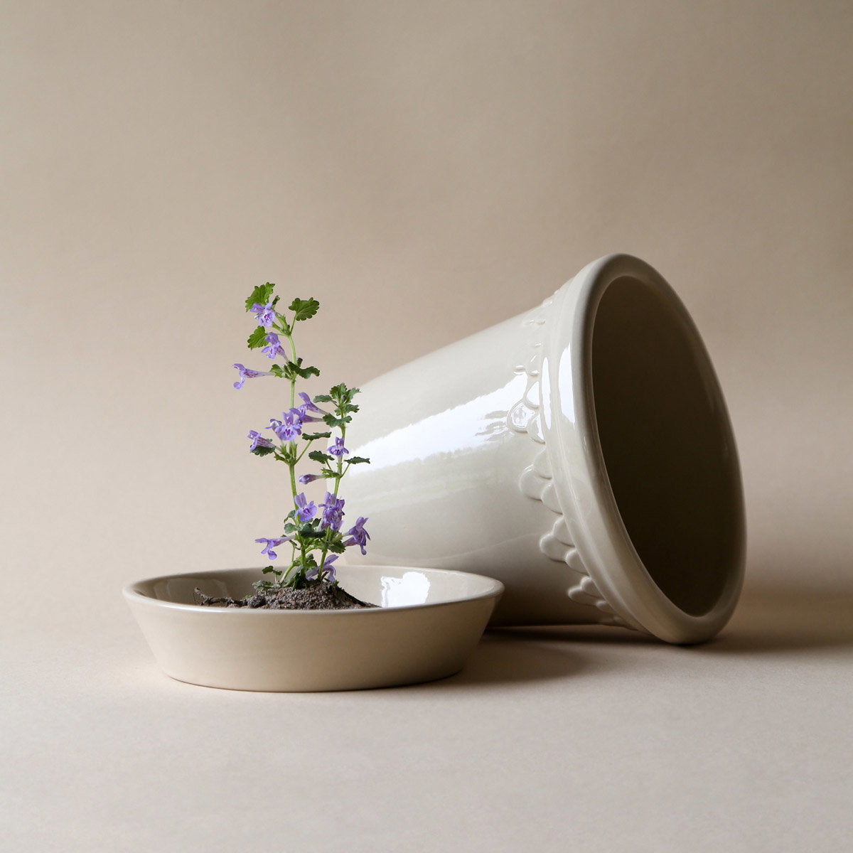Københavner Pot Sandstone