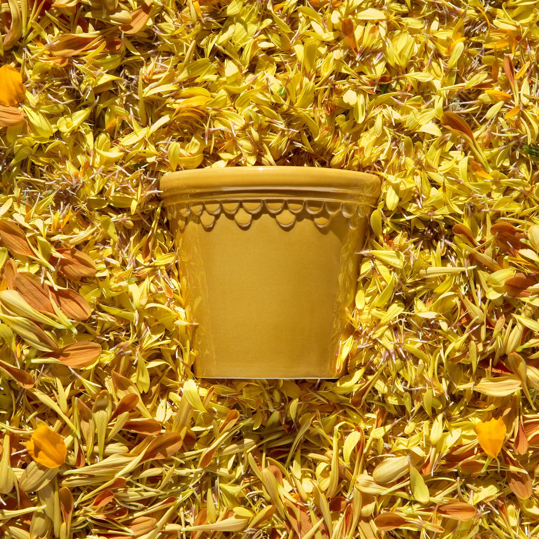 Københavner Pot Amber Yellow