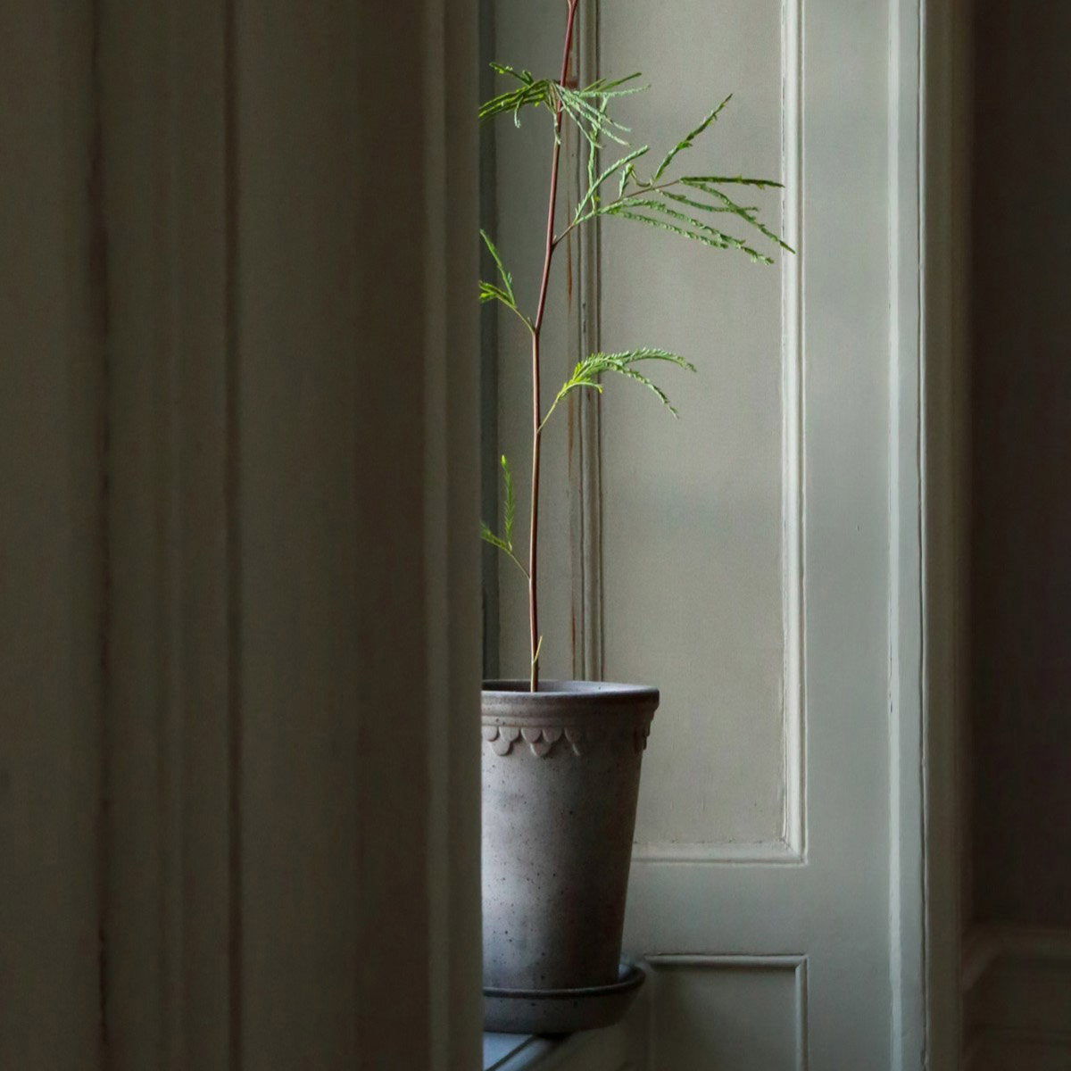 Københavner Tall Pot RAW Grey